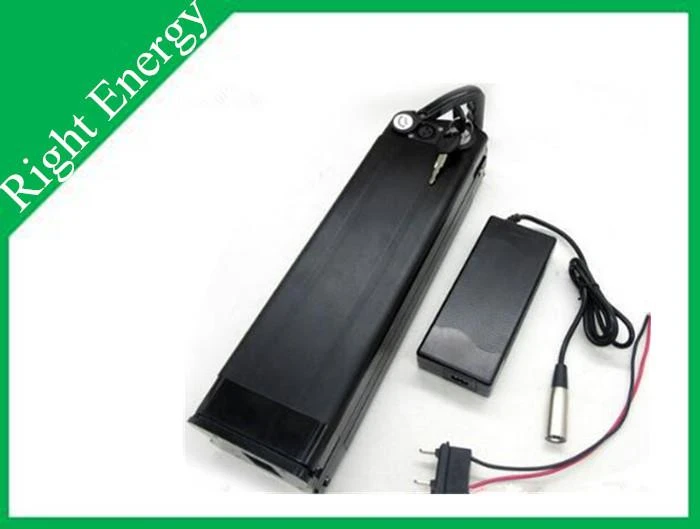 48v 20ah ebike batterij